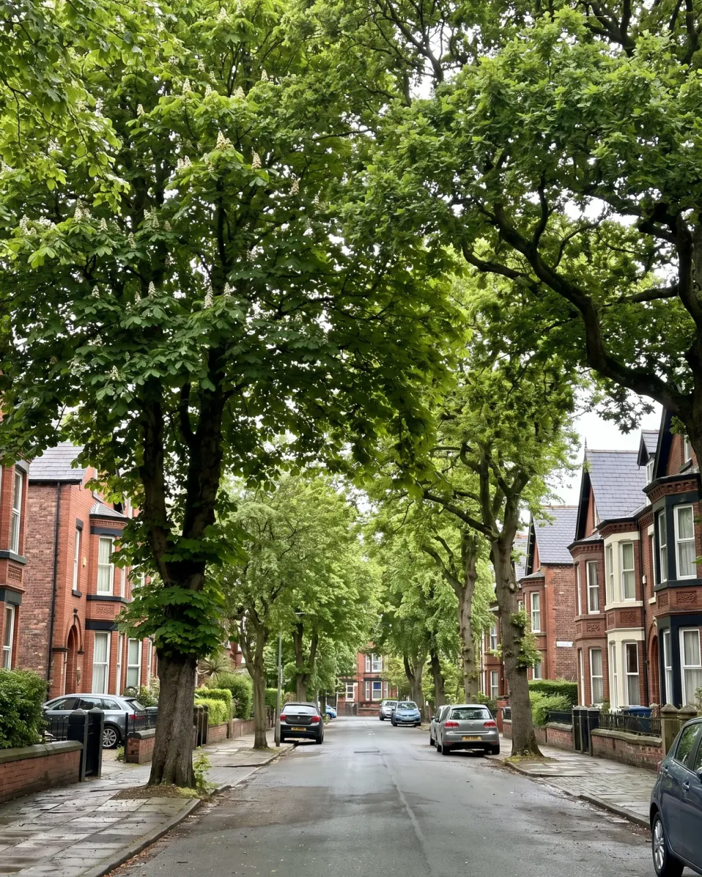A view of Aigburth, an area we cover for end of tenancy cleaning